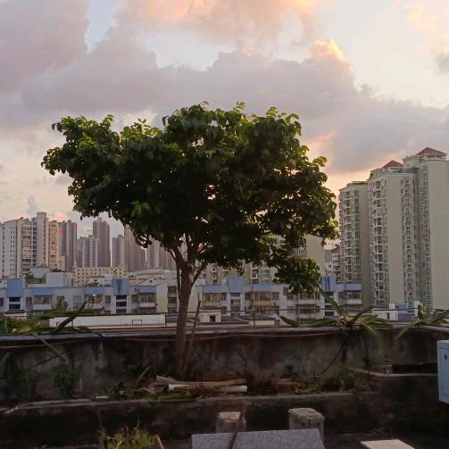 不会打球学数学