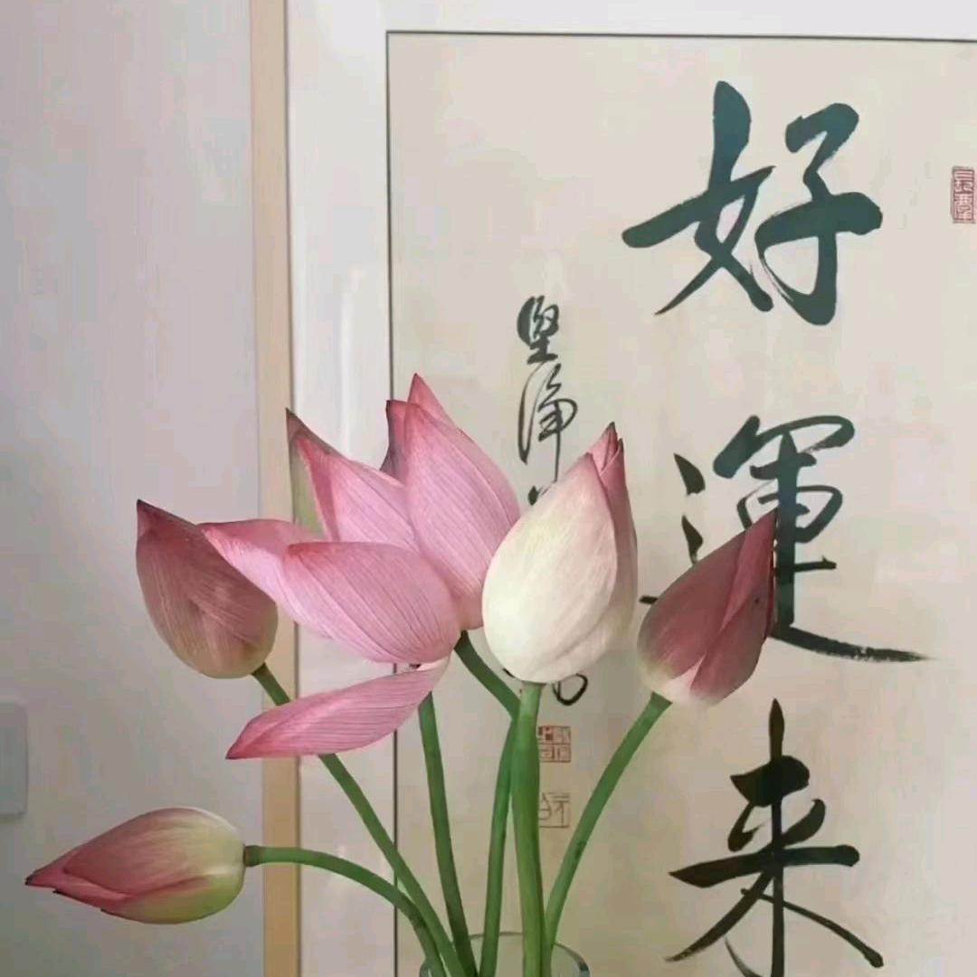 健康过好每一天