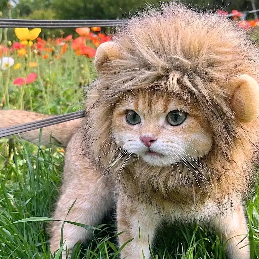 發财被爱，好运常伴。