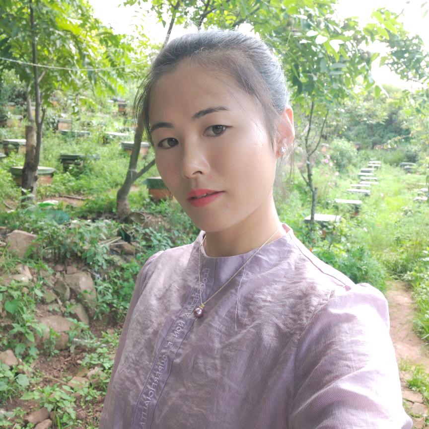 云南衡溪中蜂养殖基地