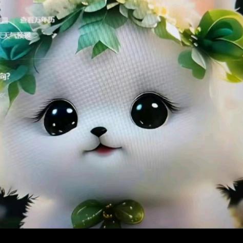 再也不会相信你