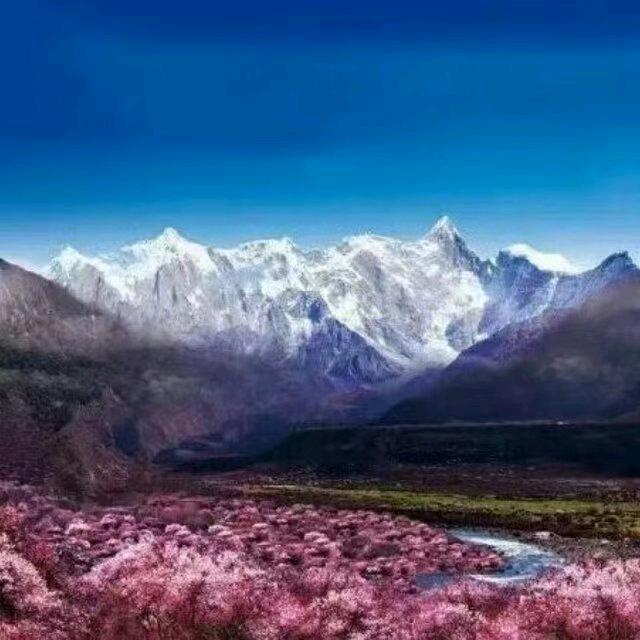 山东小周哥在墨脱水电站（每天8点直播）
