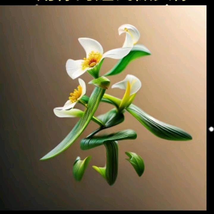 我就是我我