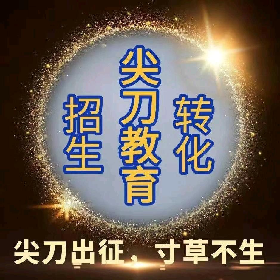 尖刀教育招生（服务全国各地艺术机构）
