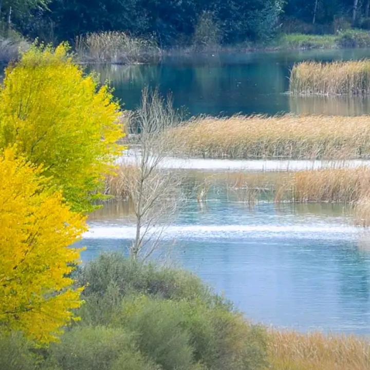 ㅤ ㅤ‍‍    ‍