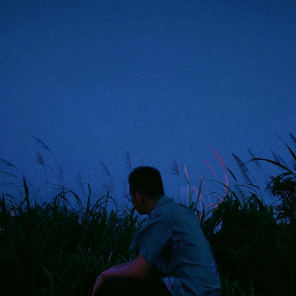 凡冬