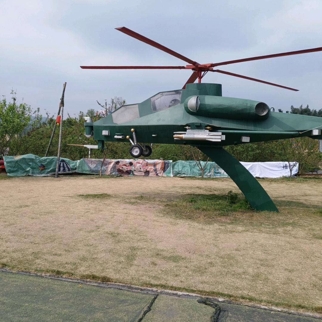 川E在粤T