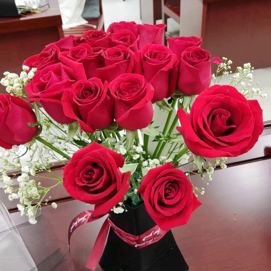 朱家姑娘❤️‍🩹🧡❤️‍🩹