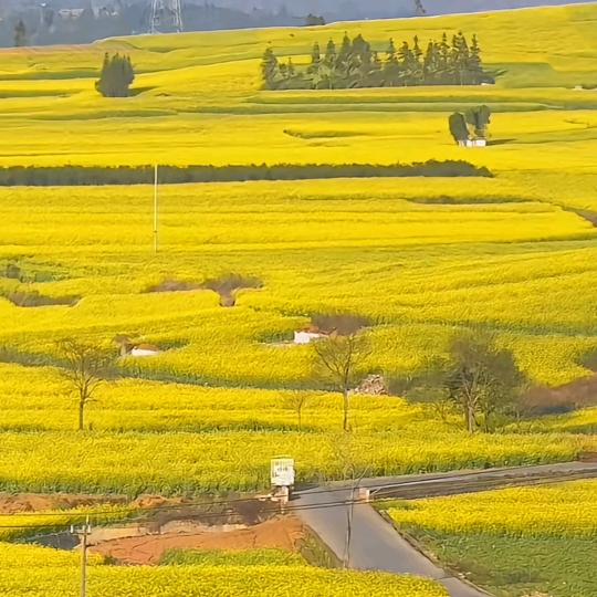 太康锅炉运营中心，厂家直销！