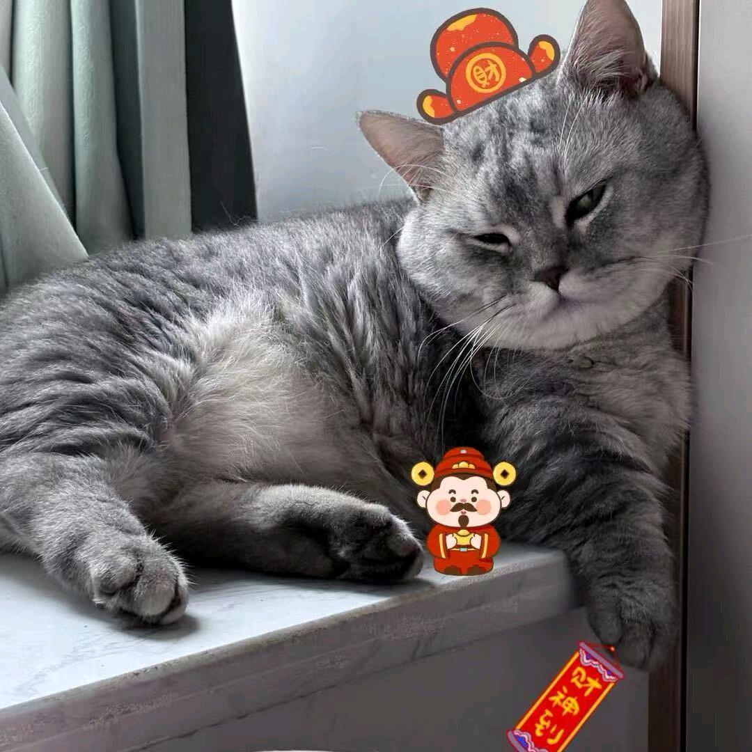 发发发