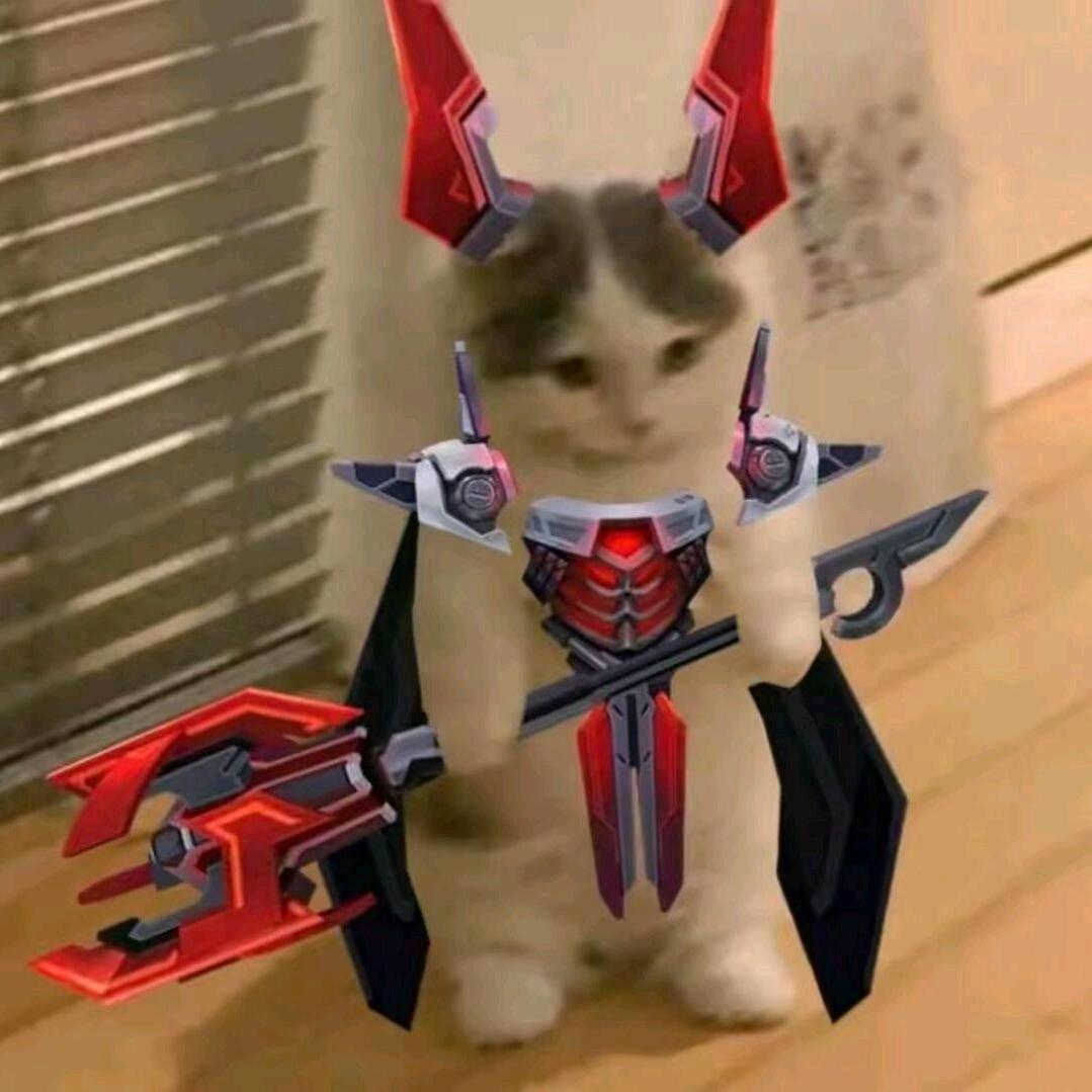 午夜心碎猫
