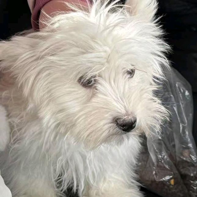 优玥教育-大海老师