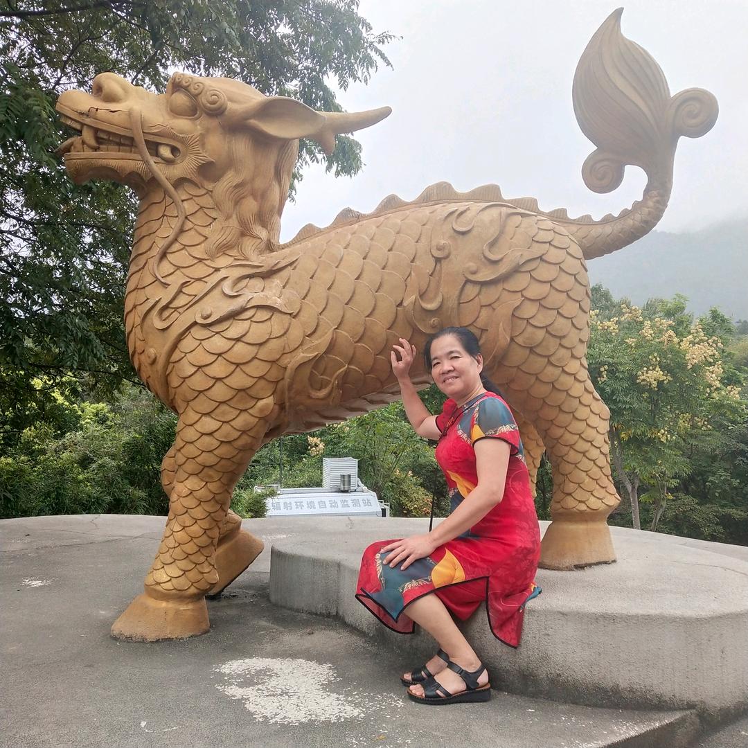榕榕