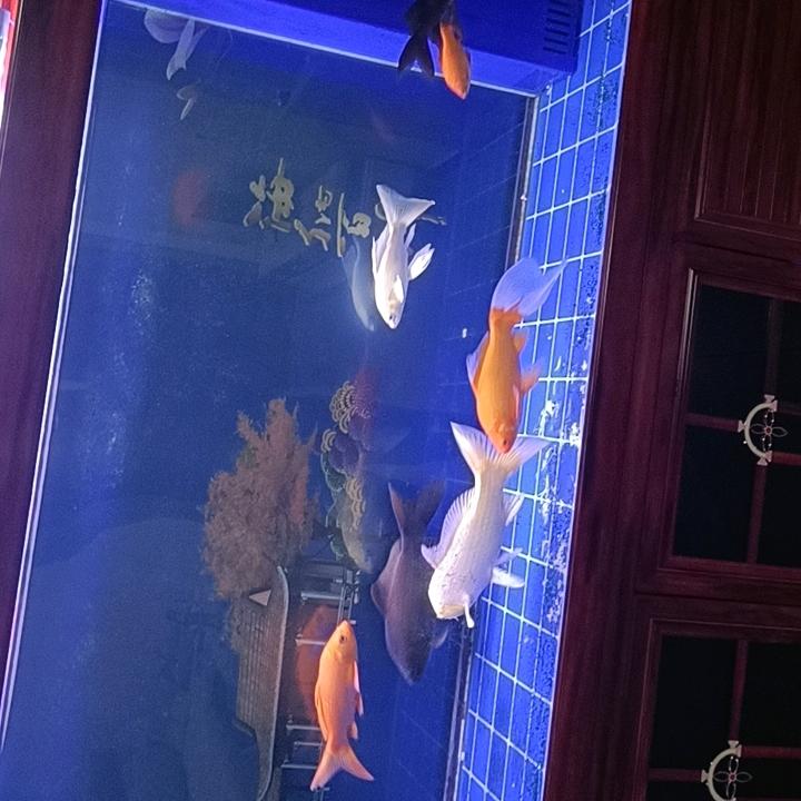 遇瑶薰衣草洗衣液生产厂家