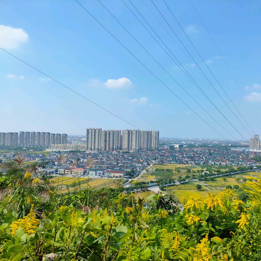 四叶草尼龙  小胡