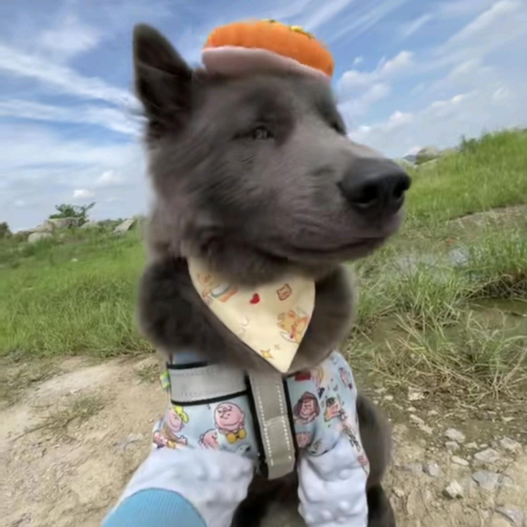 落魄山山主