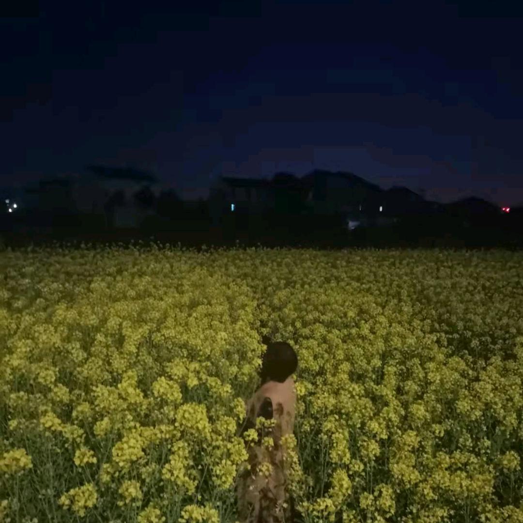 记录