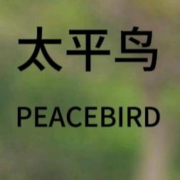 太平鸟女装直播优选