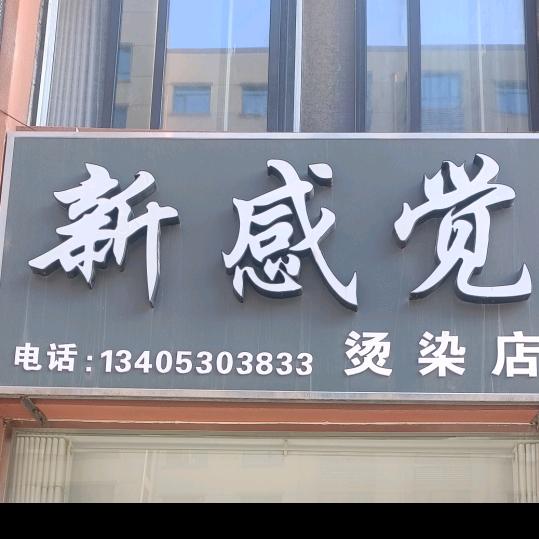 庄寨新感觉烫染店