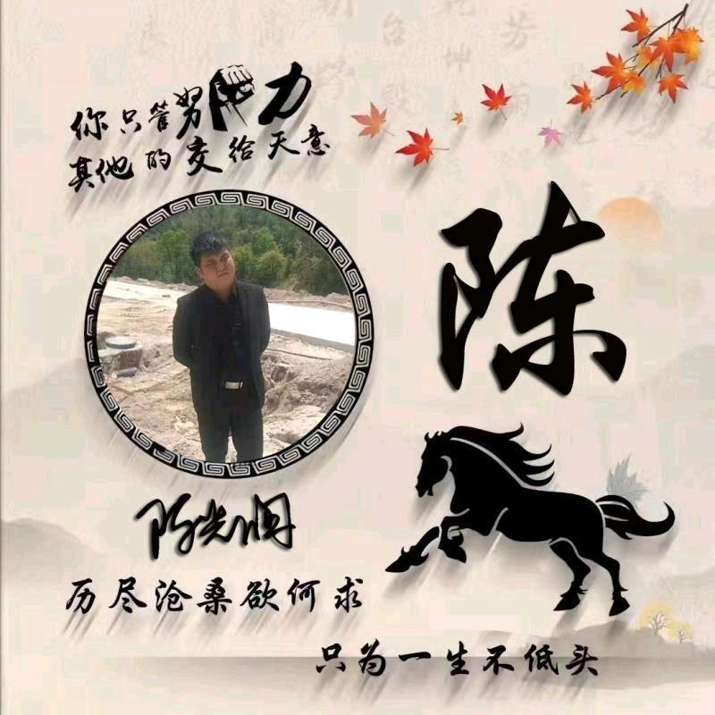 前陈似锦