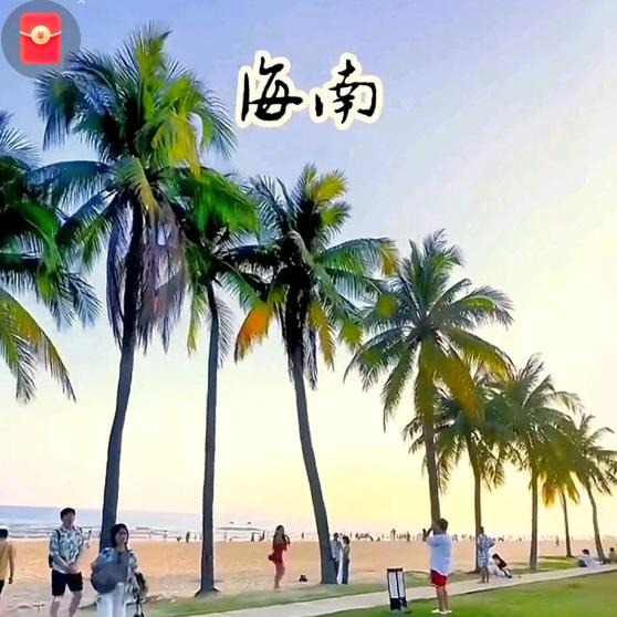 内蒙老狼