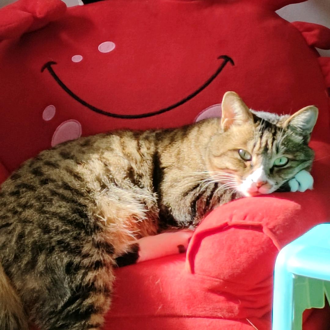 英仔！！！！？