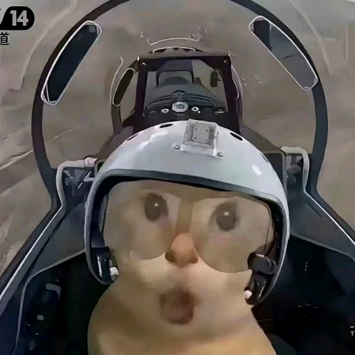 绵师小柒学长（私聊回复版）