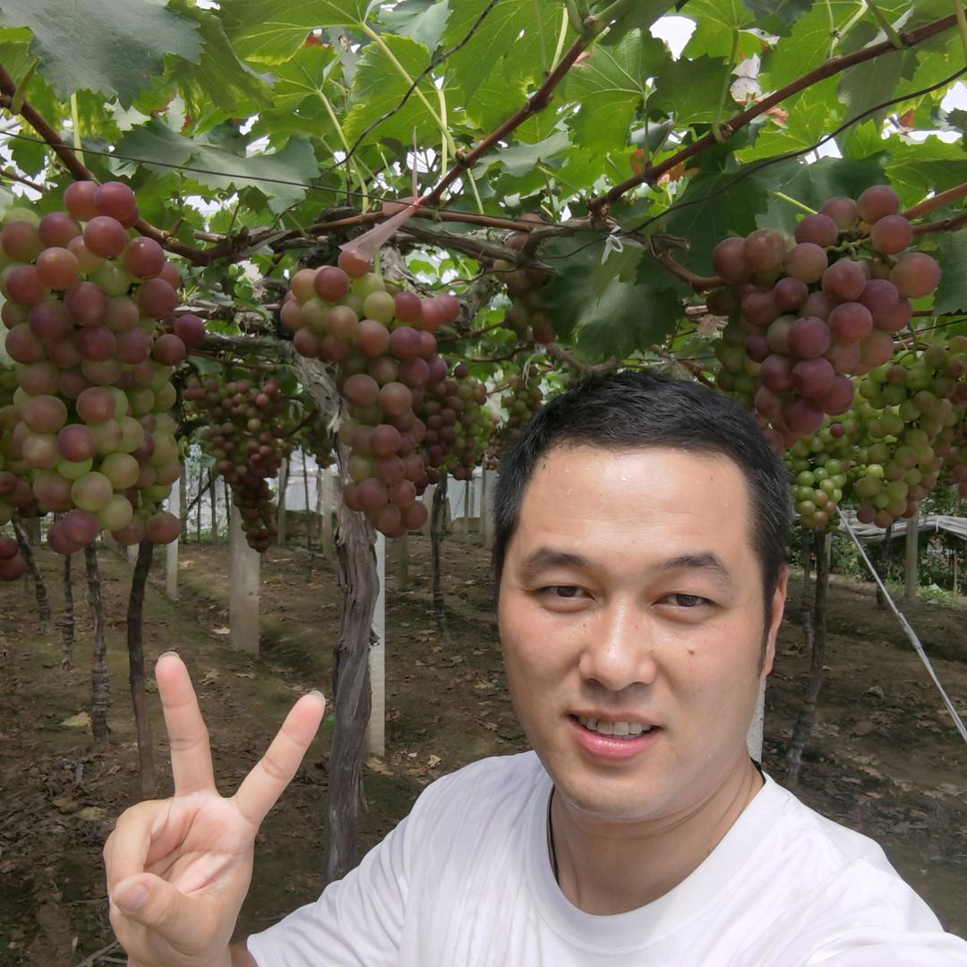 爱7水果 的钢哥