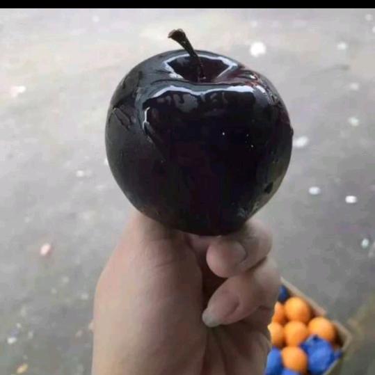 百果苗木