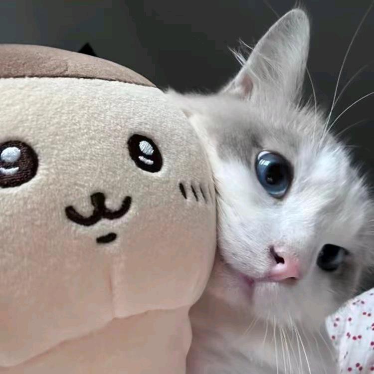 死宅