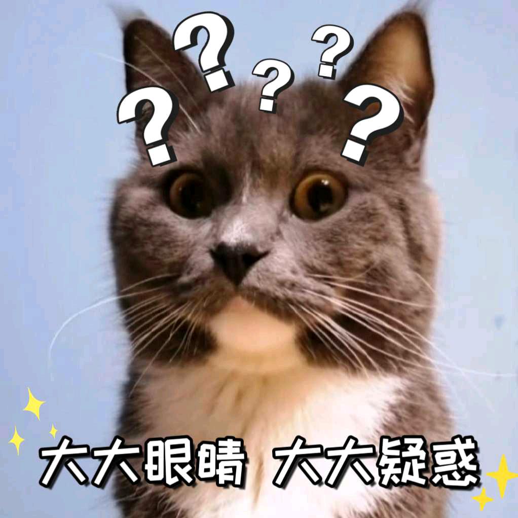 周周💰🌺