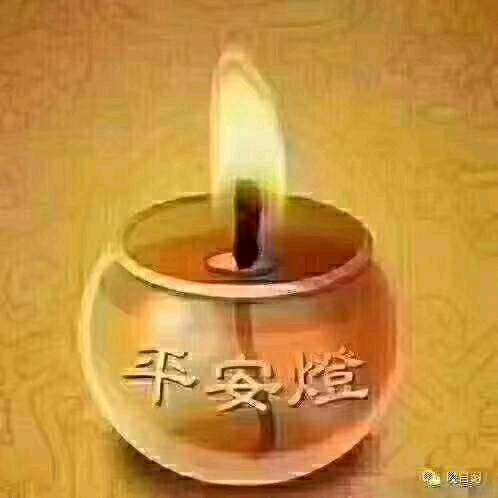 土豆摇不醒