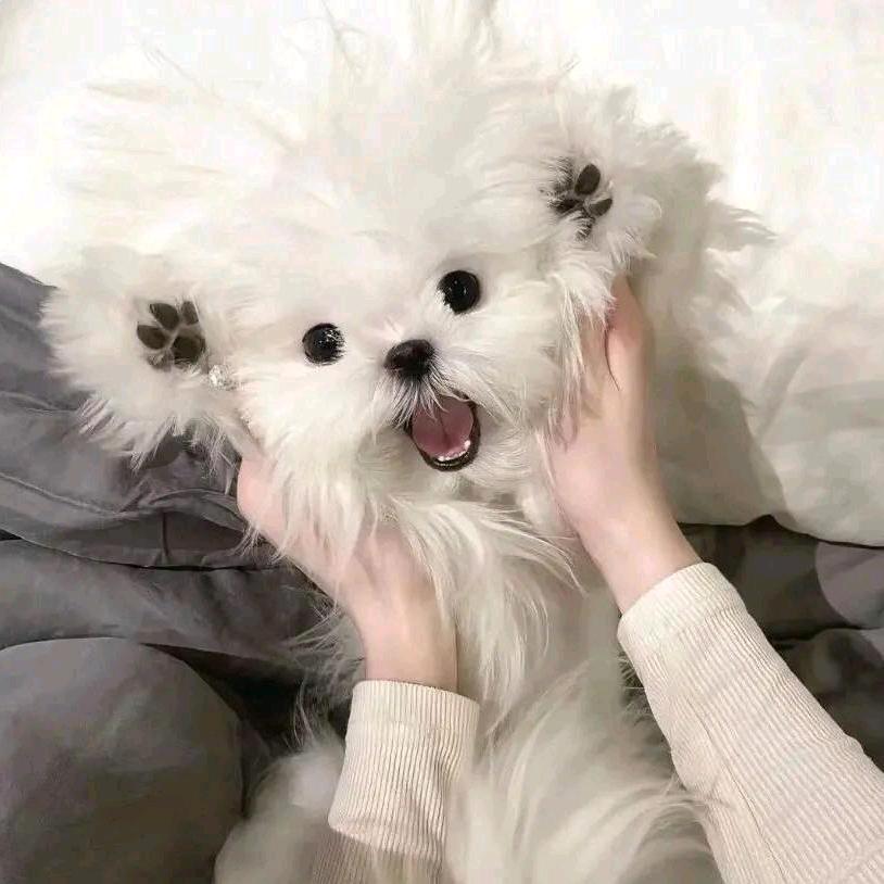 @小财迷