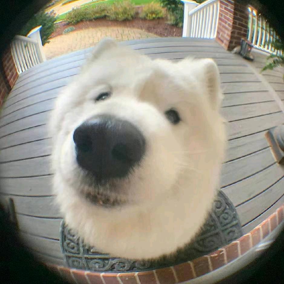 yu盐