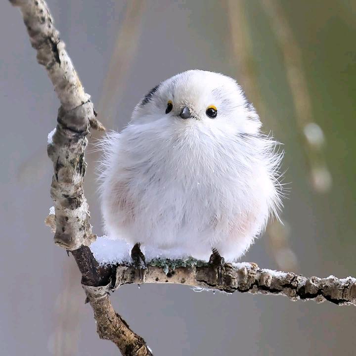人生