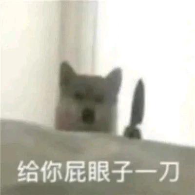 奶盖是盖