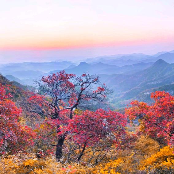 大河影像