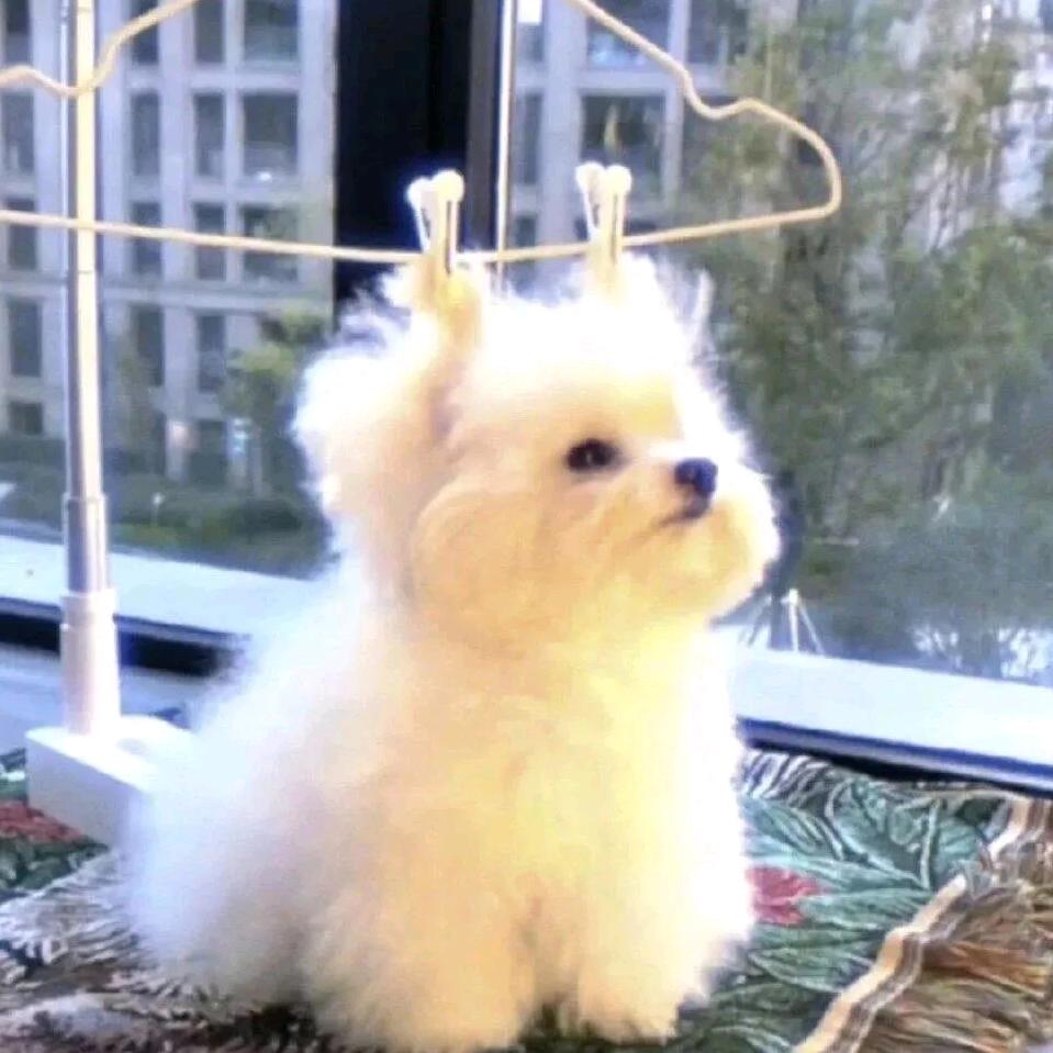 水落（村头老大爷）