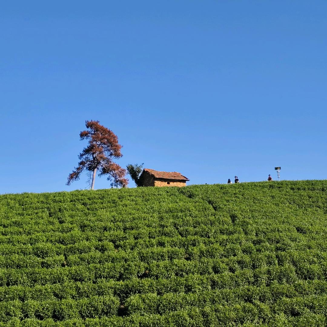 情绪发泄☔抗骂