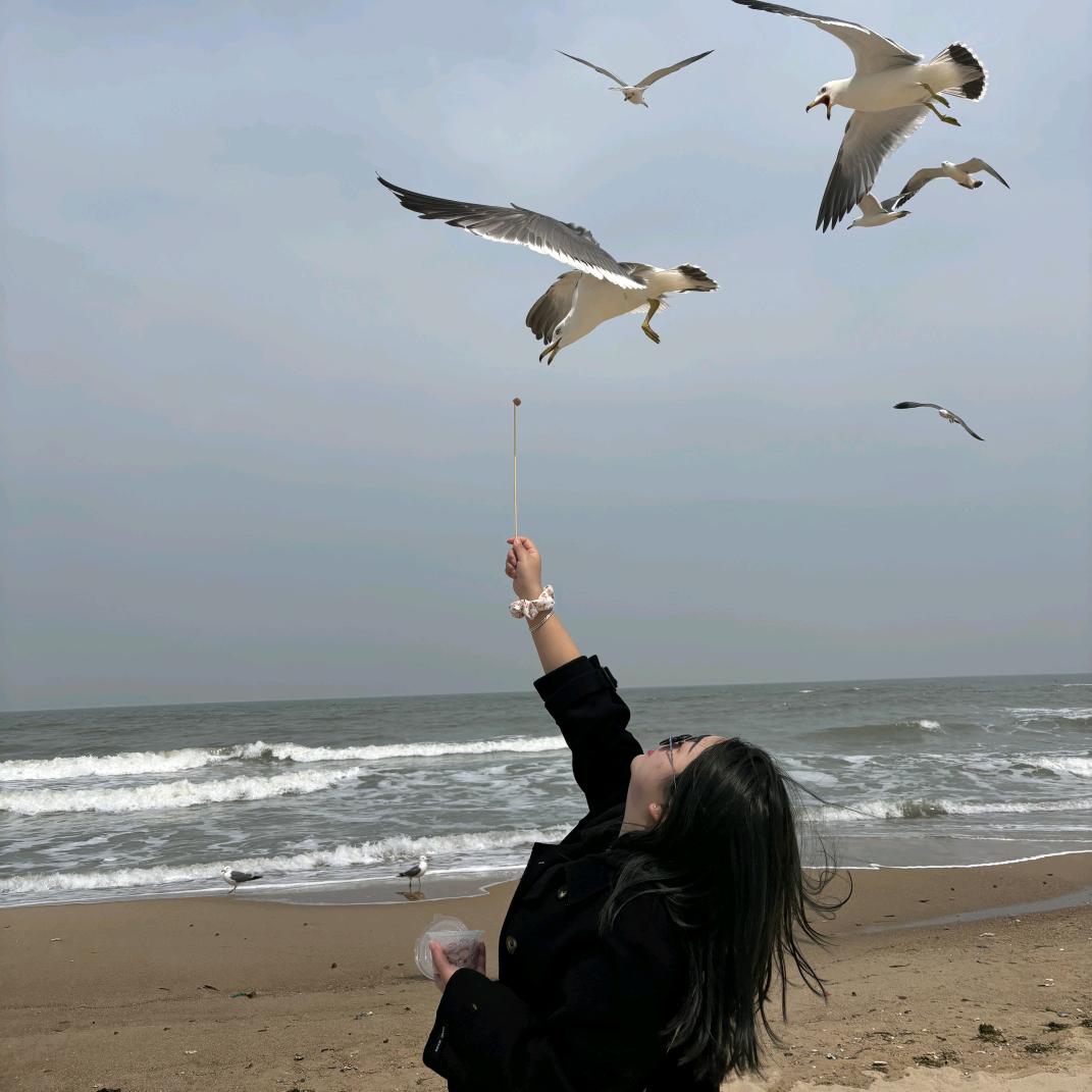 ༿一只奥利奥༾