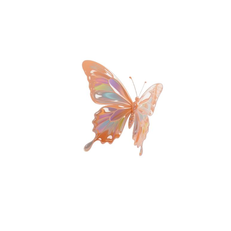 快乐小月🦋