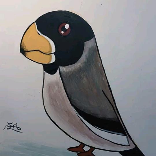 自由飞翔（高家二哥）