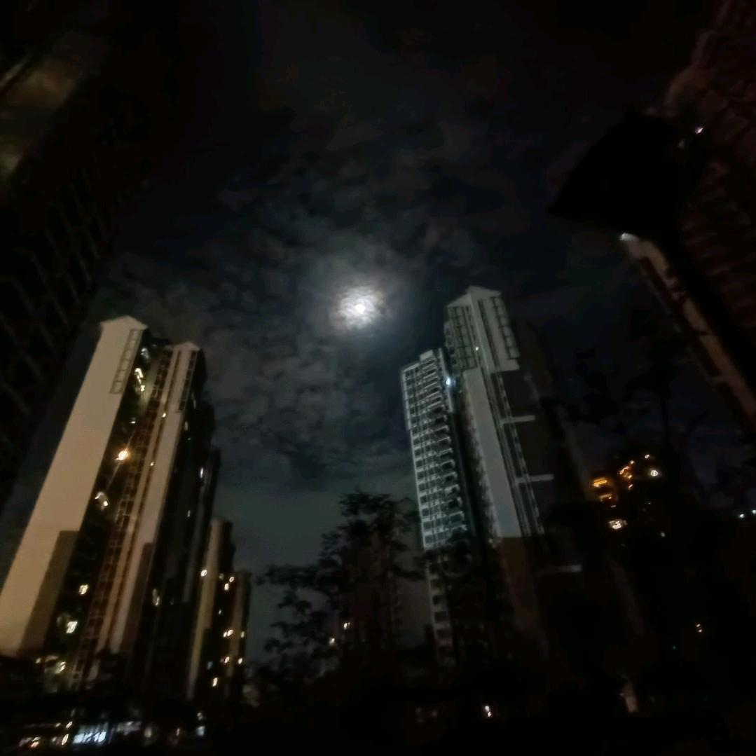 一路说情