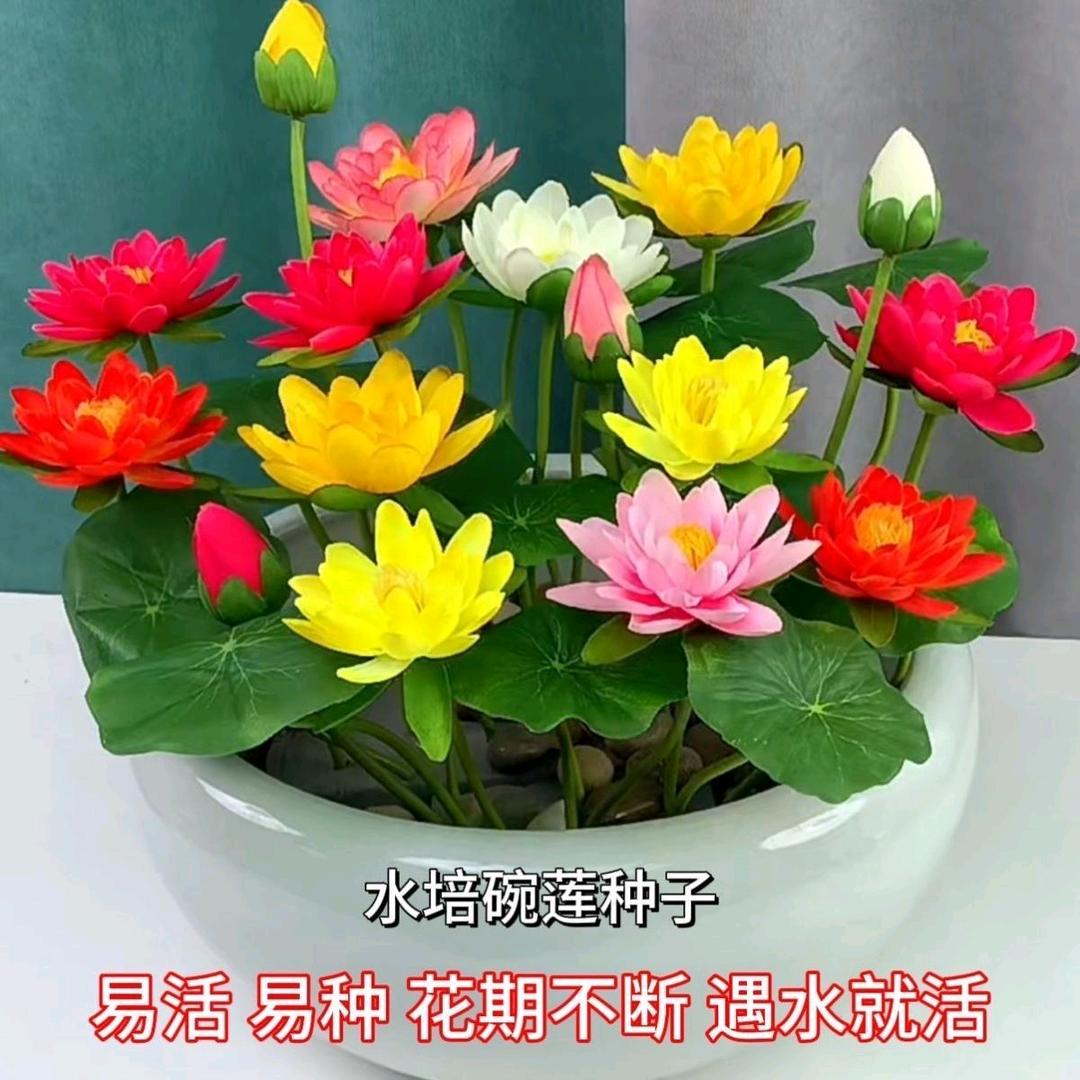 人这一辈子不容易。🍎🍎🍎