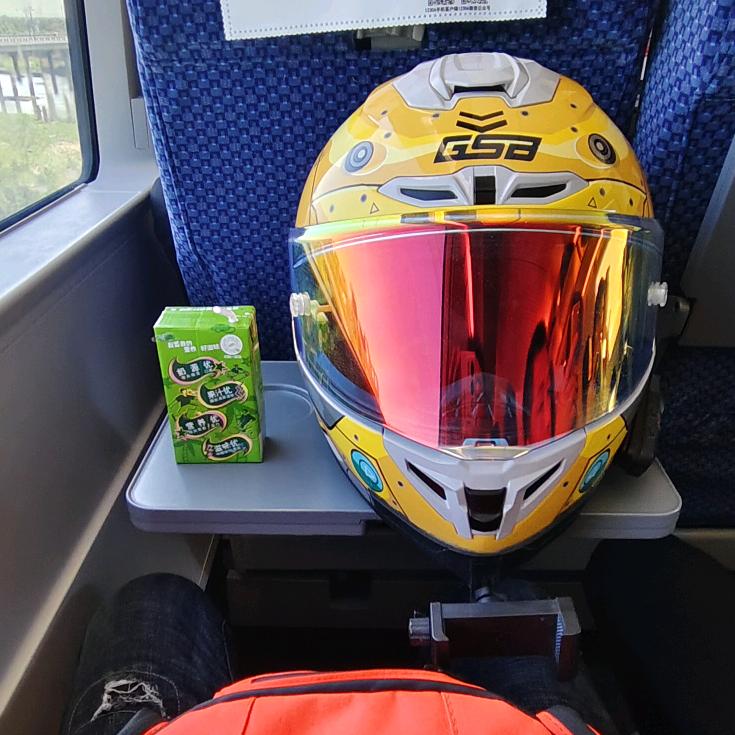 （三门峡）巷子里的猫