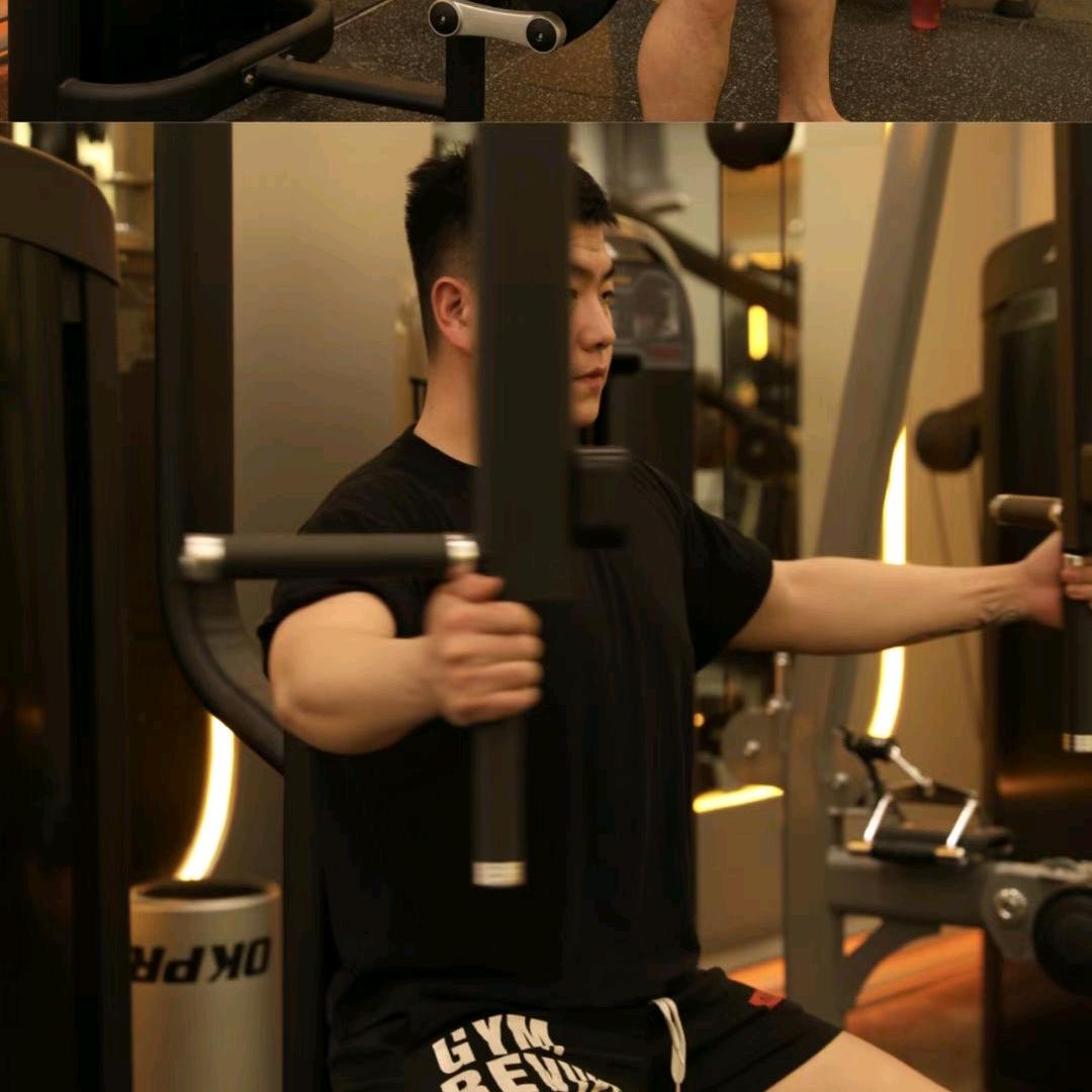 陈润之🐻减肥版本