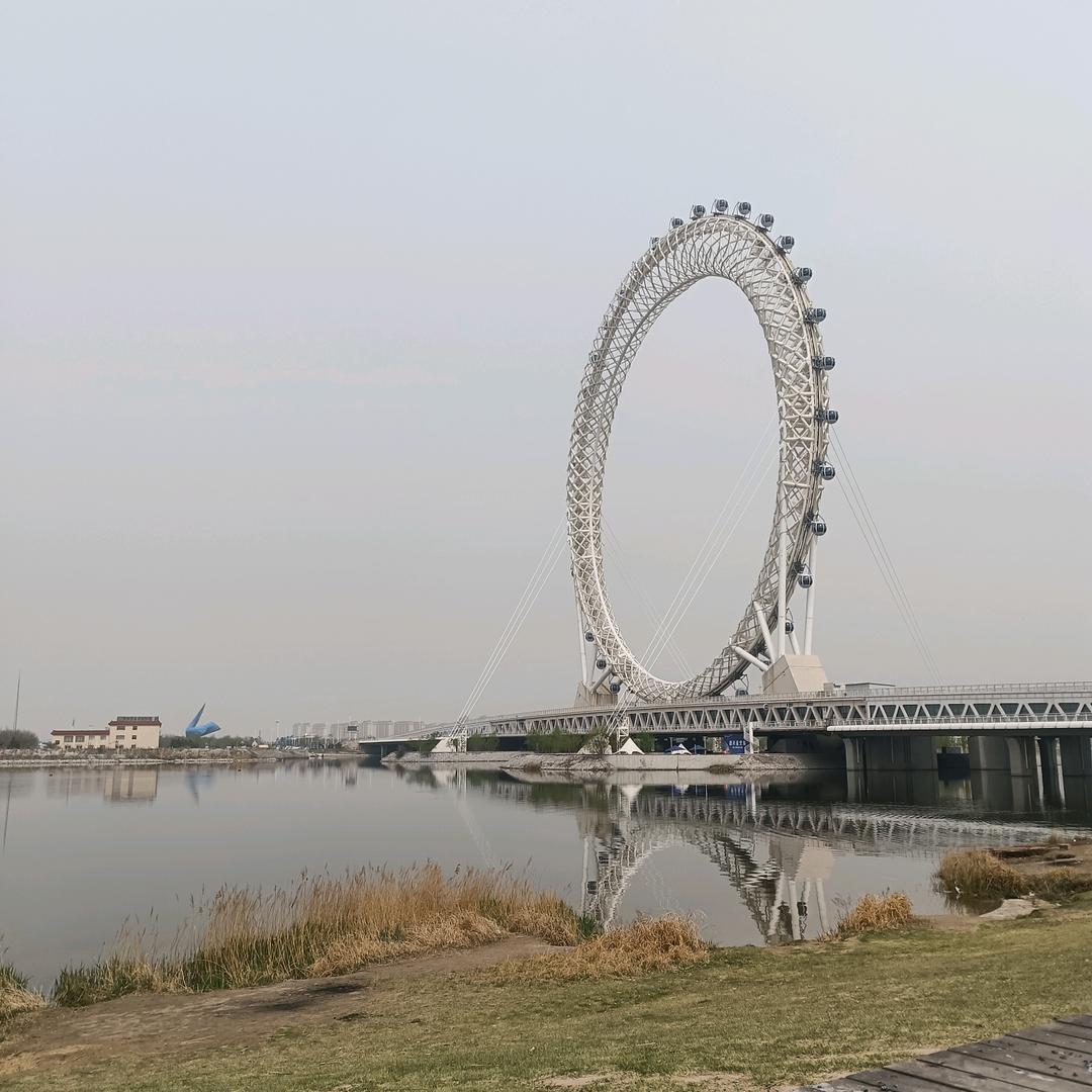 随心所欲