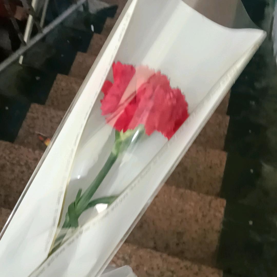 |｡･ω･)っ◆　我喜欢你♪