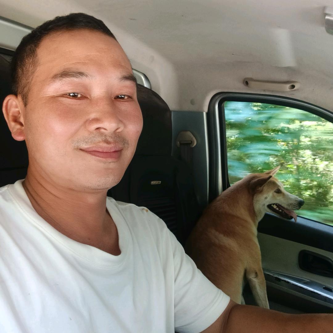 后知后觉