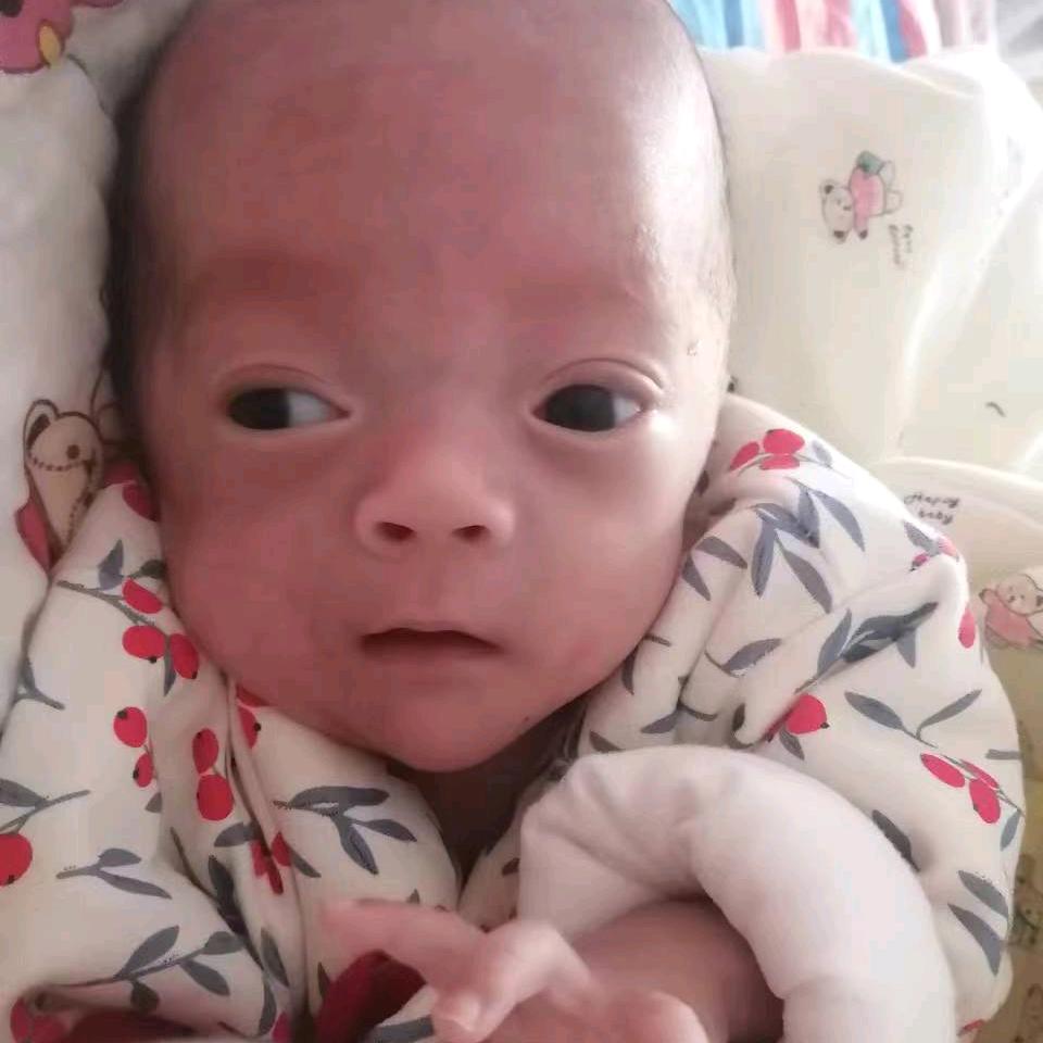 安安成长记（730克）